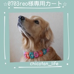 ⭐︎0703reo様専用カート⭐︎他の方のご購入はお控えください