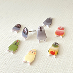 《受注生産》点目インコのスタッドピアス