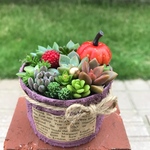 ★送料無料★♡そのまま飾れる♡リメ缶♬ハロウィン風多肉植物寄せ植え╰(*´︶`*)╯♡