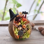 ☆ブッダナッツのハロウィンアレンジ☆幸せを呼ぶ木の実 ハロウィン