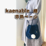 kaenable 様専用ページ