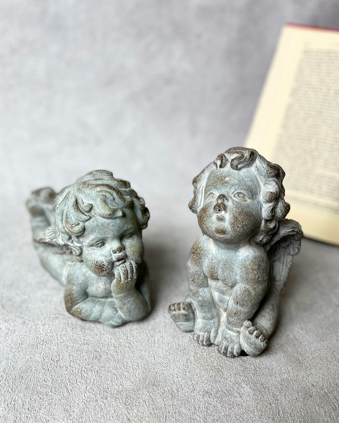 廃盤*ローラアシュレイ*22センチキューブプランター* グレー*寄せ植え 廃盤*ローラアシュレイ*22センチキューブプランター* グレー