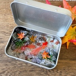【8/13 21 時〜販売予定】 KINGYO CAN(金魚缶)★ミニ