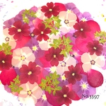 ♡new♡作家様必見♡押し花MIXセット♡押し花セット