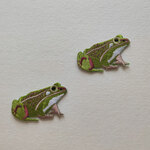刺繍ワッペン　カエル