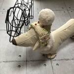 DOGニットキャップ🧶プチプチ
