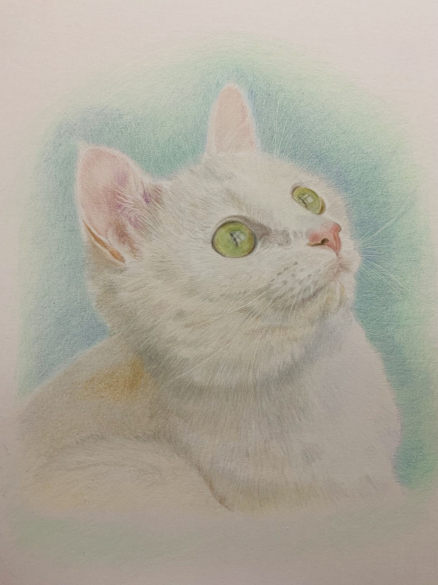 ペットの似顔絵 ネコ似顔絵 オーダーメイド リアル イラスト