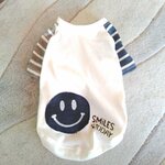 犬服！Msize！オシャレボーダー！デニムニコちゃん