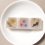 tea color[猫] ｱｸｾｻﾘｰｹｰｽ/ﾋﾟﾙｹｰｽ　旅行など持ち運びに便利な小物入れ