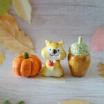 秋のちょこっとセット<リス>