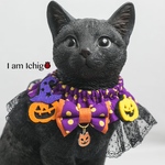 ☆2022☆ハロウィンシュシュ(A)🎃🍁
