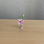 コスモス　瓶入り　7
