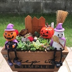 ★送料無料★♡そのまま飾れる♡ハロウィンの多肉植物寄せ植え╰(*´︶`*)╯♡