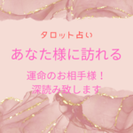 運命の人  nyatarou様専用