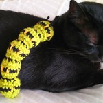 猫　ちゃん　の　蹴りぐるみ　（いもむし）