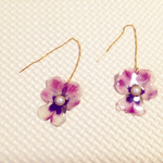 パンジーアメリカンピアス 薄い紫