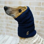イタグレ用ネックウォーマー〈ネイビー〉