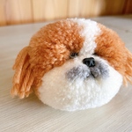 犬ぽんぽん　シーズー