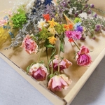 1点だけ♡  長め　花材　薔薇ドライフラワー　ガーランド花材　ハーバリウム花材　ドライフラワー花材　