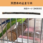 自然木の止まり木 (HOEI手のり35ケージ専用)