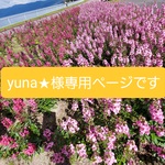 yuna★様専用ページです🌼