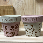 リメ鉢セット✢100