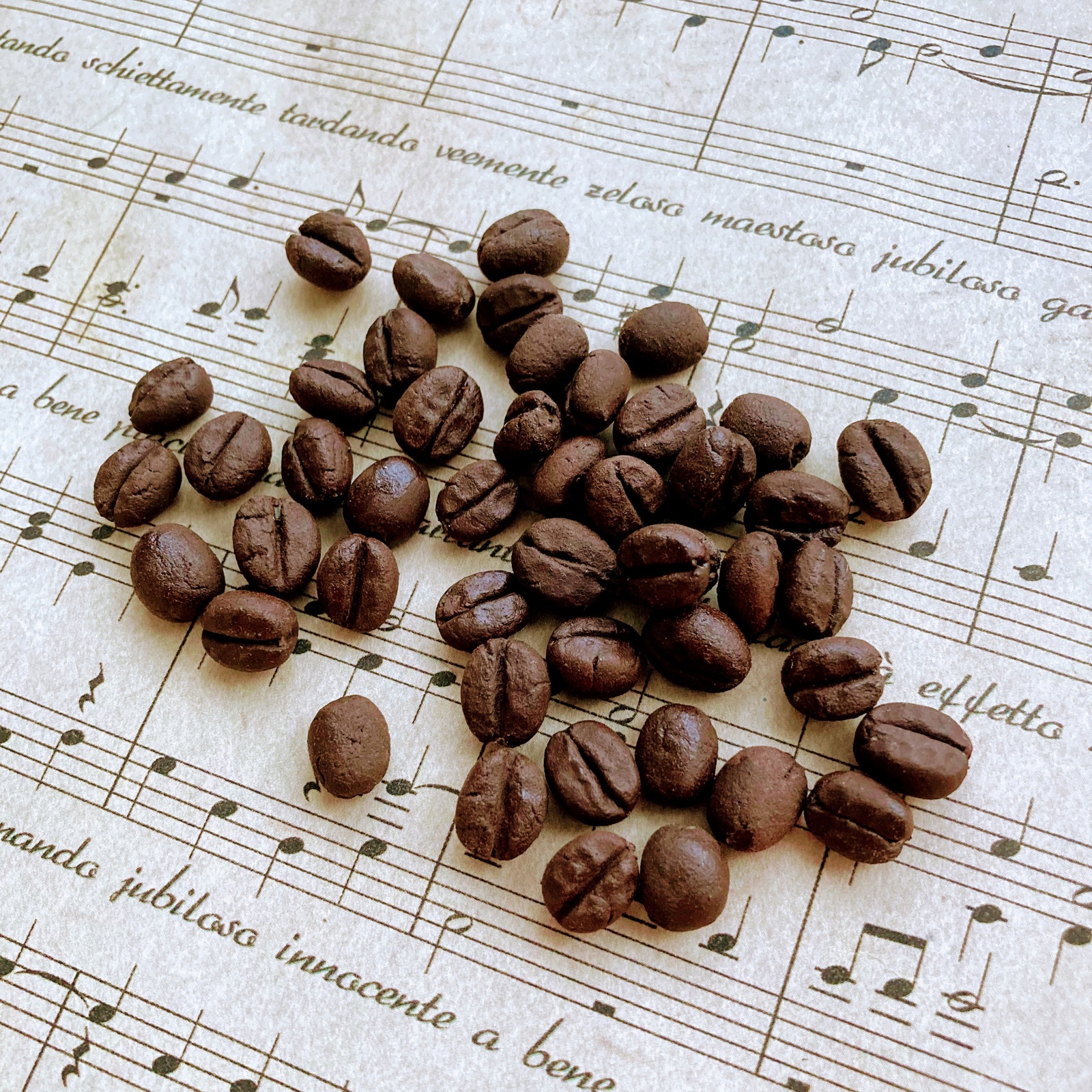 ♡一番人気パーツ♡ オーダー 軽量粘土パーツ コーヒー豆 セット