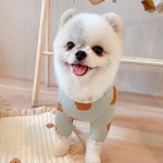 韓国っぽくま×ギンガムチェック ブルー 可愛い くま 韓国 犬服 わんこ服 犬 秋服 