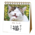 卓上カレンダー2023年 日なたぼっこ猫だより ACL-1539