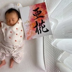 由来無し命名書　F3サイズ
