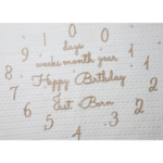 レターバナー　月齢フォト　誕生日