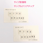 サイズ計測用サンプルネイルチップ 《各種300円》