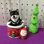 クリスマスカップ犬（黒柴）