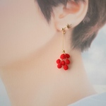 pepper berry (あか)
