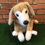 t様愛犬ちゃんオーダーメイド品(ビーグルMIX)縫いぐるみ