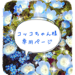 コッコちゃん様専用ページ