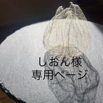 【裏】鬼灯レジンオーダー専用ページ