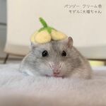（受注制作）ハムスター帽子 パンジー