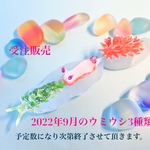 <ミニフィギュア>〜2022年9月〜受注販売