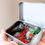 【8/19 21 時〜販売予定】 KINGYO CAN(金魚缶)★ミニ