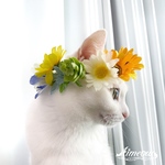 ペットねこ、犬花冠花かんむり被り物フラワークラウン