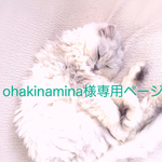 ohakinamina様専用ページです