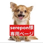 専用ページ