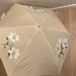 コンパクト雨傘　トールペイント