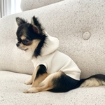 ワッフル生地のシンプルパーカー／犬服