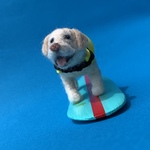 フェルト犬 サーフィン・ラブラドール　イエローさん　<MS026>