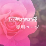 1229wanwan様♡専用ページ