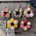 ドライフラワー　ミニミニリース　5個セット②〜handmade