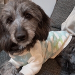 犬服 お客さま専用ページ