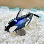 O13　宇宙を宿すガラスのシャチ［カール］